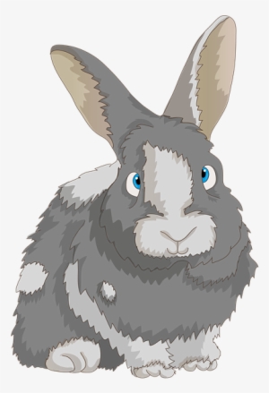 rabbit, cute, dwarf rabbit, long eared, bunny, hare - rabbit