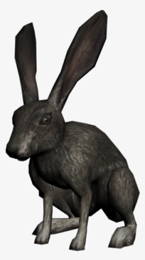 Rabbit - 3d Rabbit Png
