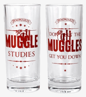 Harry Potter Don't Let The Muggles Get You Down Mug