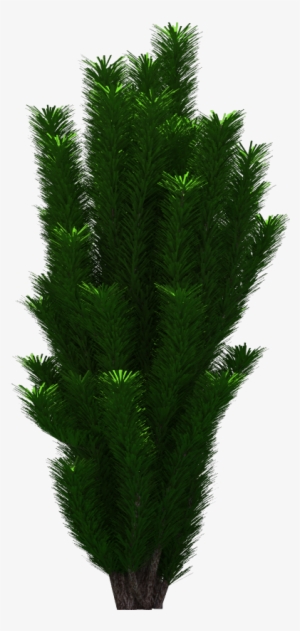 Tree Png Download - Grass
