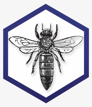 November 2018 Newsletter Ny Bee Wellness - Exotic Car Dealership Logo