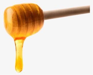 Honey Transparent File - Honey Falling