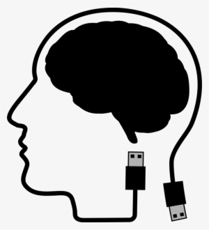 Human Brain Binaural Beats Skull Head - Голова Пнг