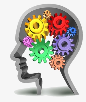 Ci2s Consulting
