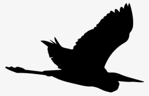 Bird Heron Flying Shape Comments - Garza Silueta