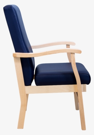 Pressure Relieving Low / Standard Back Lounge Or Bedside - Chair