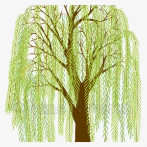 Willow Tree Clipart Art Jeane Nevarez Willow Tree Willow - Easy To Draw Willow Tree