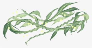 "weeping Willow // Recovery, Flexibility, Hope Story - Large-flowered Evening Primrose