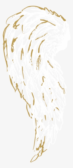 Who - Illustration