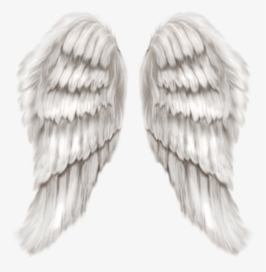 Tumblr Inline Mpox14pgyr1qz4rgp - Angel Wings