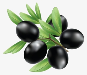 Black Olives Png - Olives Png