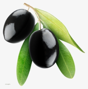 Black Olives Png - Black Olive Oil Png