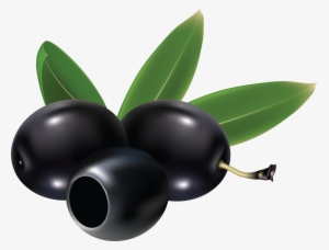 Black Olives Png