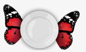 Utensils - Limenitis Camilla