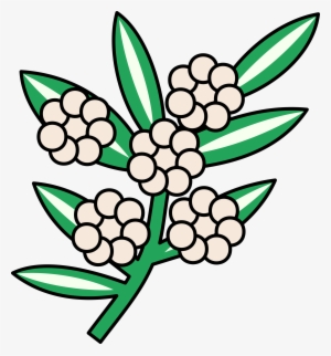 This Free Icons Png Design Of Calophyllum Flowers
