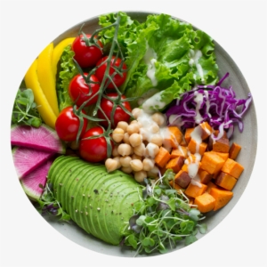 Vegen Vegetarian Nutritionist - Vegatariano E Intestino