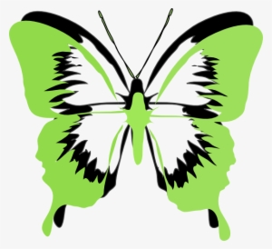 Pink And Green Butterfly Clipart