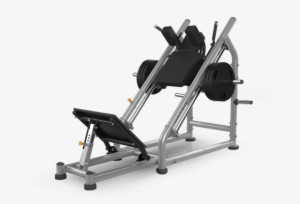 Previous - Next - Gym Machine For Squats