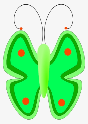 Butterfly Front View - Butterfly Clip Art For Kids