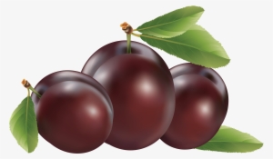 Plum Png Image - Plums Clipart Png