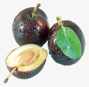 Download Plum Png Image - Prunus Sect. Prunus