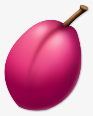 Plum - Fruit
