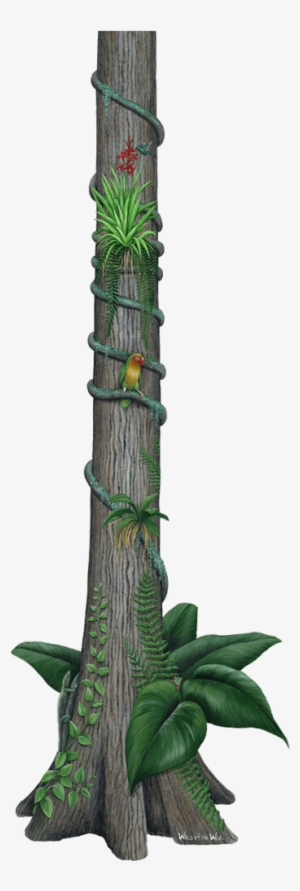Rainforest Tree Jungle Wall Decal Sticker - Walls Of The Wild Jungle Wildlife Collection #2 Mural