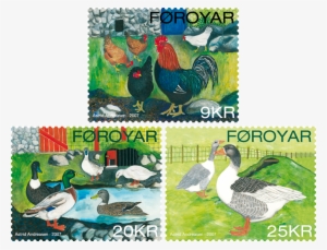 Los Pájaros Domesticados De Las Islas Feroe - Postage Stamp