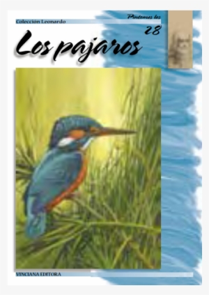 Coleccion Leonardo N28 - Los Pajaros [book]