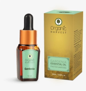 Organic Harvest Gardenia - Organic Harvest Hair Oil