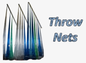 throw net - cast net