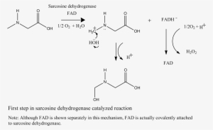 Mechanism 1st Step - Diagram