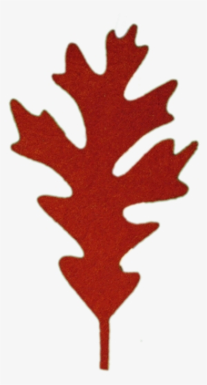 2056white Oak (assorted)20/$8 - Red Oak Leaves Png