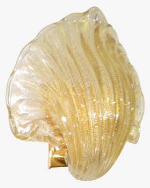 Conch - Shell
