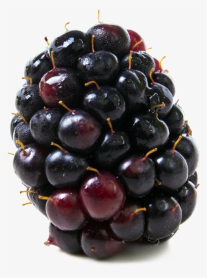 Boysenberries Hd