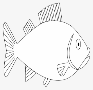 Fish,animal,swimming,sea Life,outline,free Vector Graphics - Bangus Drawing Easy