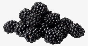 blackberries - blackberry
