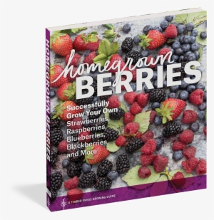 Homegrown Berries - Homegrown Berries By Timber Press 9781604693171 (paperback)