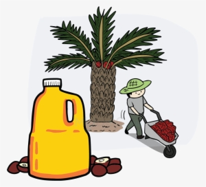 Palm Oil Tree Png Download - Palm Oil Cartoon Png