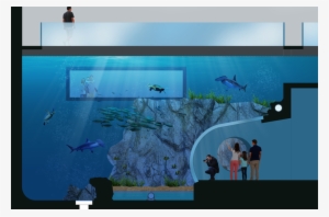 Baja Tank - Point Defiance Zoo New Aquarium Opening