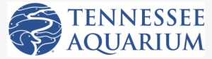 Tennessee College Of Applied Technology Logo