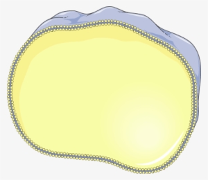 Download The Image - Circle