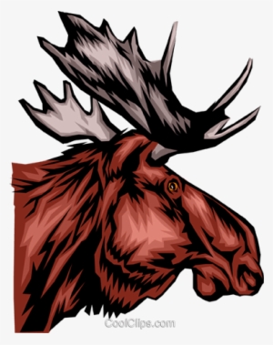 Moose Head Royalty Free Vector Clip Art Illustration - Maine State Animal Moose