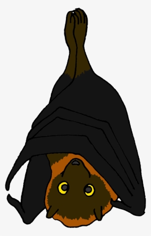 Cartoon Rodrigues Fruit Bat - Fruit Bats Cartoon