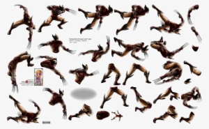 Click For Full Sized Image Wolverine - Flock
