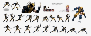 Click To View Full Size