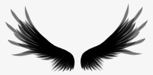 Roblox Commander Crow S Wings Transparent Png 1024x1024 Free Download On Nicepng - roblox black wings id
