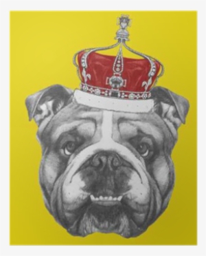 Hand Drawn Portrait Of English Bulldog With Crown