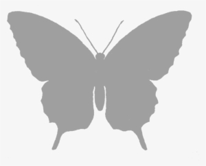 Grayscale Butterfly Silhouette - Butterfly Silhouette Free Png