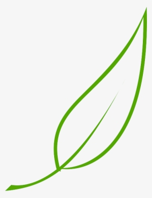 Green, Outline, Drawing, Leaf, Cartoon, Free, Color - Leaf Clipart Vector